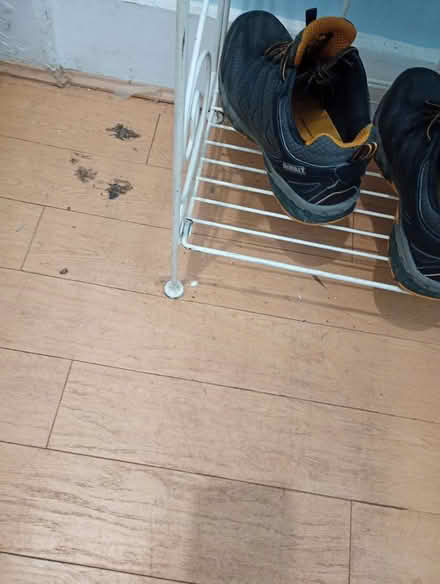 Photo of free Tall shoe rack/plant stand (Thornton HEATH CR7) #4