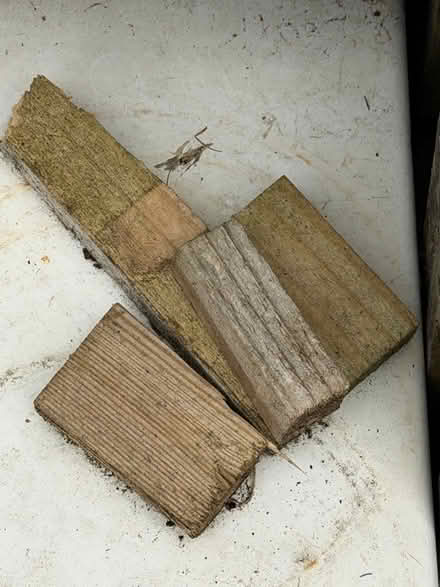 Photo of free Three tier vegetable planter (Lower Earley RG6) #4