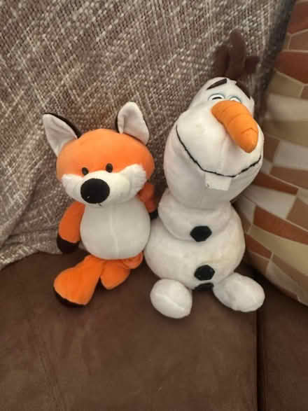 Photo of free Cuddly Toys (Artane) #4