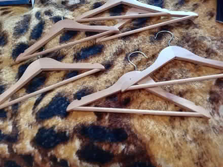 Photo of free Child/adult coat hangers (Maidenhead SL6) #1