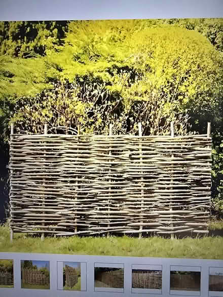 Photo of Willow Fence / Weaved Fence (Sandy SG19) #1