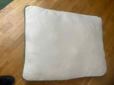 Photo of free Dog Beds (Near El Camino & Walnut) #1