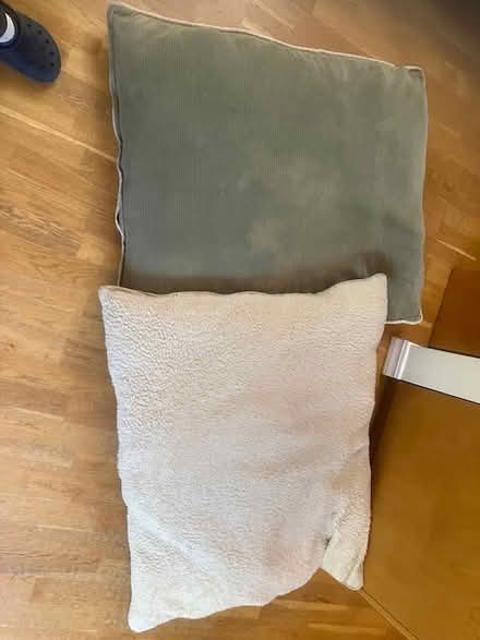 Photo of free Dog Beds (Near El Camino & Walnut) #3
