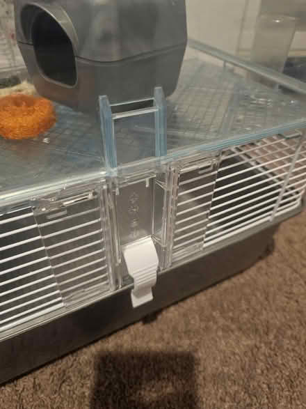 Photo of free Hamster cage (E1 Tower Hamlets) #3