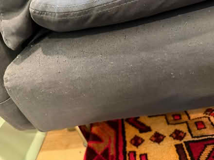 Photo of free IKEA gray chaise (Mt. Pleasant) #2