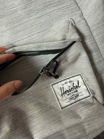 Photo of free Herschel rucksack and mango suede bag (Belsize Park NW3) #2
