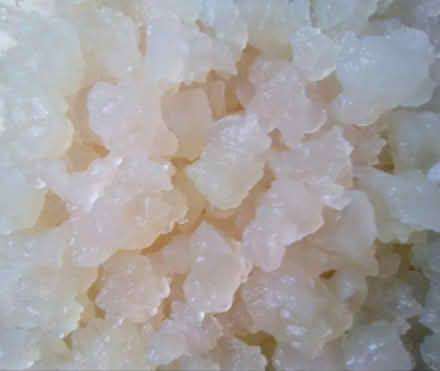 Photo of Water kefir grains (Newark NG24) #1