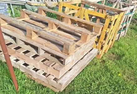 Photo of free 6 pallets and 2 crates (Helton CA10) #1