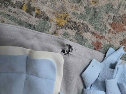 Photo of free Dog sniff mat (Takoma DC) #2