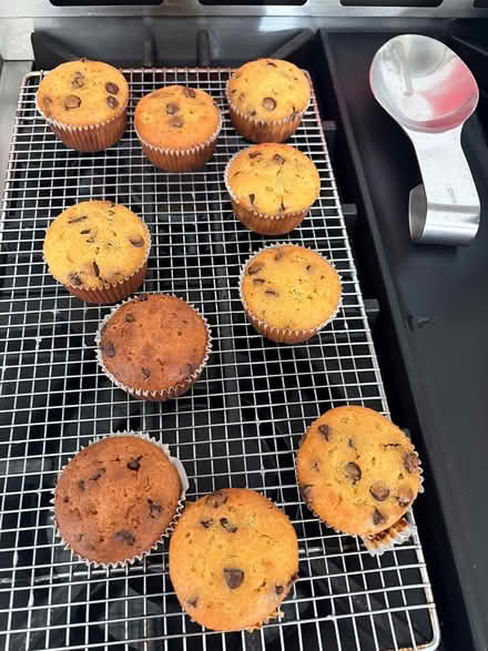 Photo of free Choc chip muffins (milton, derry and scottl) #1
