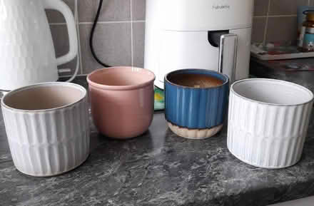 Photo of free 4 pot plant holders (Shirley CR0) #1