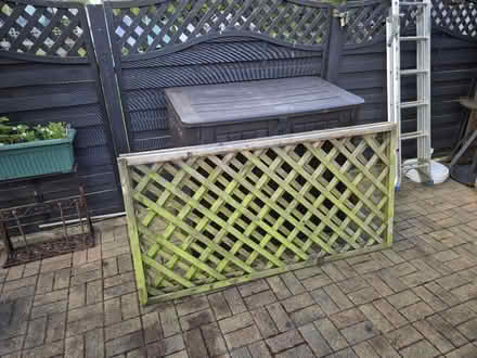 Photo of free Trellis (Dursley area) #2