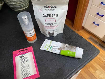 Photo of free cat items (Wedgwood) #1