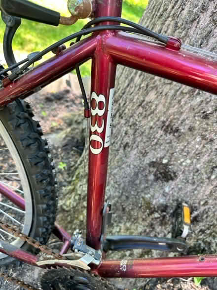 Photo of free Bike (Belle mead) #2