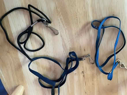 Photo of free lanyards (Wedgwood) #1