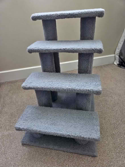 Photo of Cat steps (wallington surrey SM6) #3