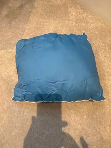 Photo of free Travel pulliw (Hove BN3) #1