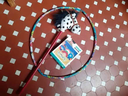 Photo of free Hobby horse, hula hoop, jigsaw (CF5 canton) #1