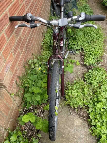 Photo of free Bike (Hollingbury) #2