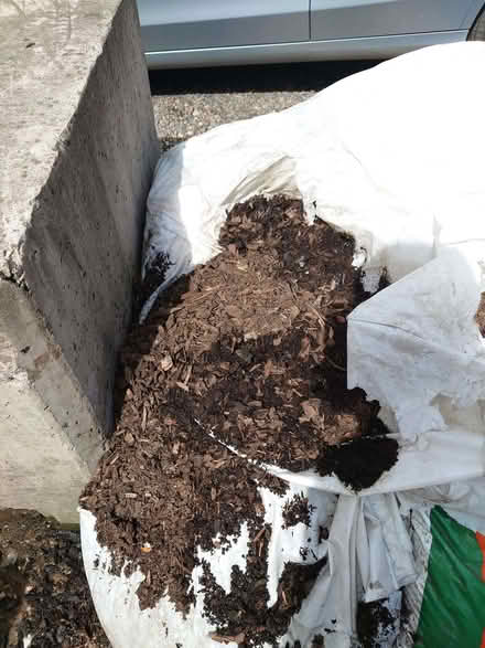 Photo of free Garden chipped Bark (Shifnal TF11) #4