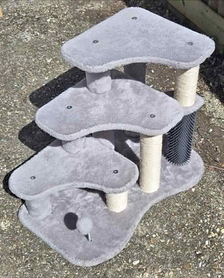 Photo of Cat steps (wallington surrey SM6) #1