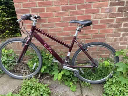 Photo of free Bike (Hollingbury) #1