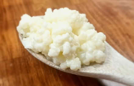 Photo of Kefir Grains (Reigate RH2 9) #1