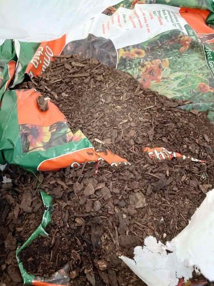 Photo of free Garden chipped Bark (Shifnal TF11) #2