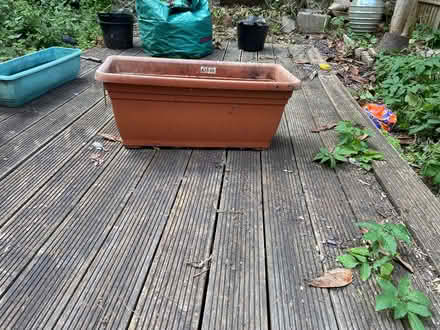 Photo of free Large plastic planter (SE153BS) #2