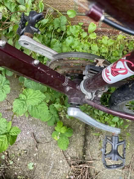 Photo of free Bike (Hollingbury) #3