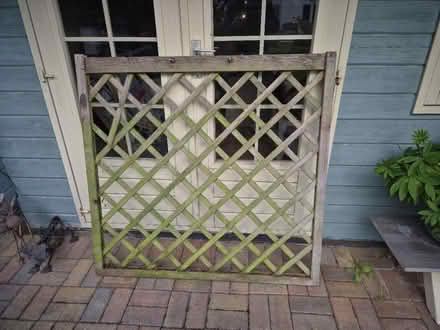 Photo of free Trellis (Dursley area) #1