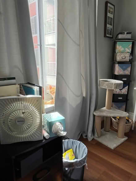 Photo of free Long green/gray curtains (Adams Morgan) #1