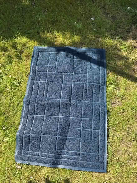 Photo of free Cat litter tray mat (Billericay CM12 Queens Park) #1
