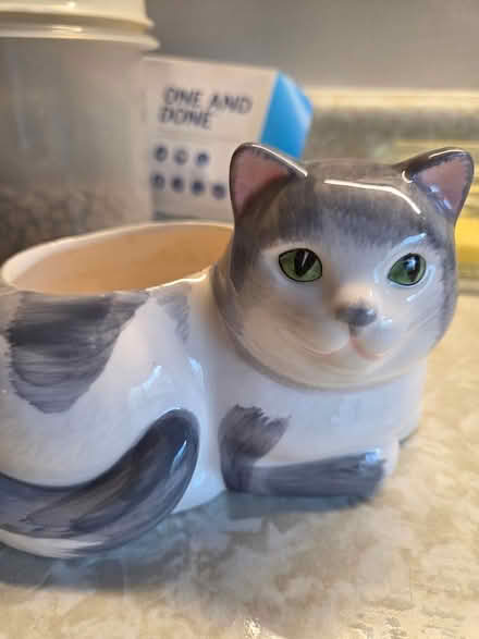 Photo of free Ceramic cat planter (Kenson Park) #1