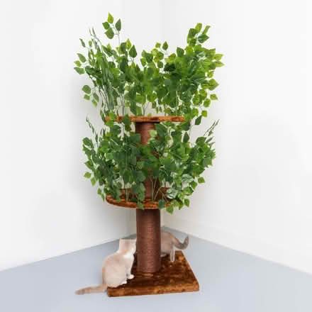 Photo of free Cat pole with branches and leaves (Mile House TS19) #1
