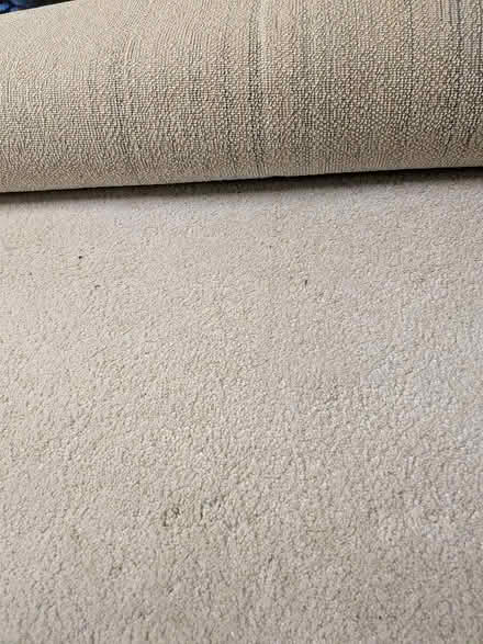 Photo of free IKEA Rug 200cm x 300cm (Stannington S6) #1