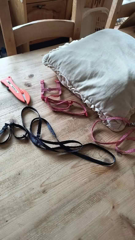 Photo of free 2x Kitten harnesses (Allestree DE22) #1