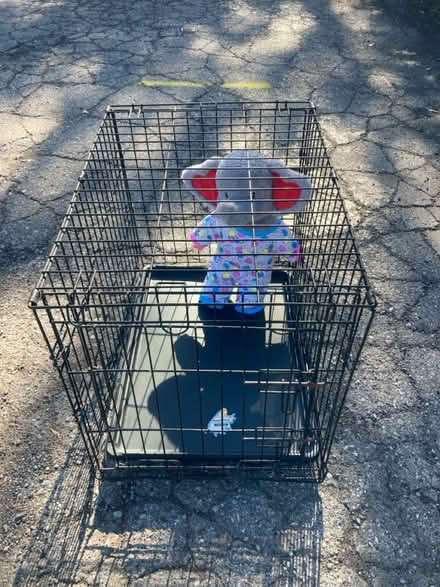 Photo of free Pet Stuff (Ypsilanti Township) #1