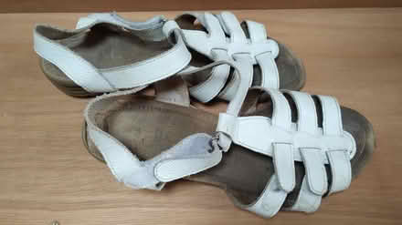 Photo of free Sandals size 5 (Kingscourt/Lightpill, Stroud) #1