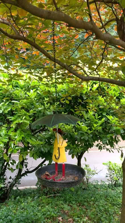 Photo of free Bird Feeder .... (Kenley CR8) #1