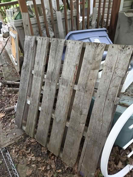 Photo of free 2 pallets (Bloomingdale) #1