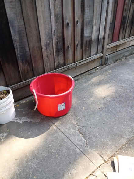 Photo of free Large Tub (Birdland) #1