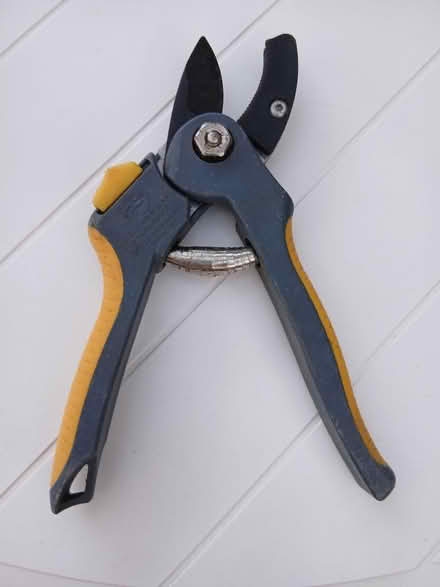 Photo of free Anvil secateurs (Chelsfield BR6) #2