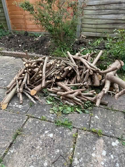 Photo of free Cut down tree logs (Bromham) #1