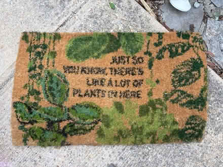 Photo of free Two Coir Rugs (Near Ft. Totten Park) #1