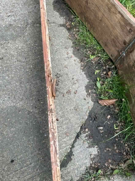 Photo of free Raised bed - palette coller (BD18 Wrose) #2