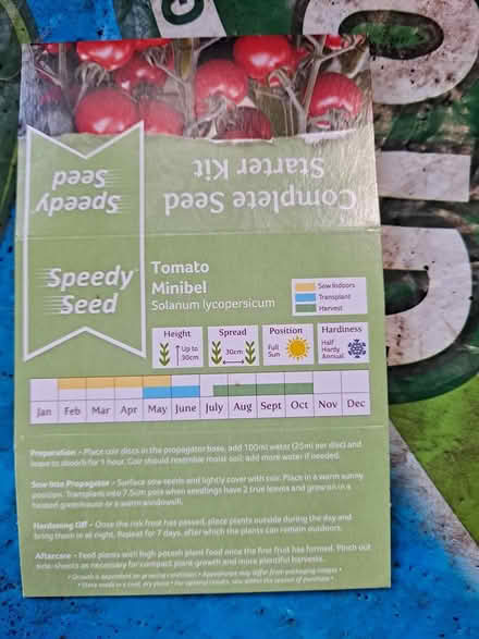 Photo of free Tomato plants (Fareham creek 8 PO16) #2