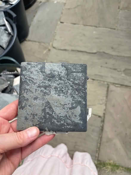 Photo of free Square tiles (hertford heath) #2