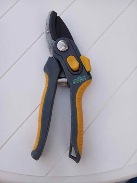 Photo of free Anvil secateurs (Chelsfield BR6) #1