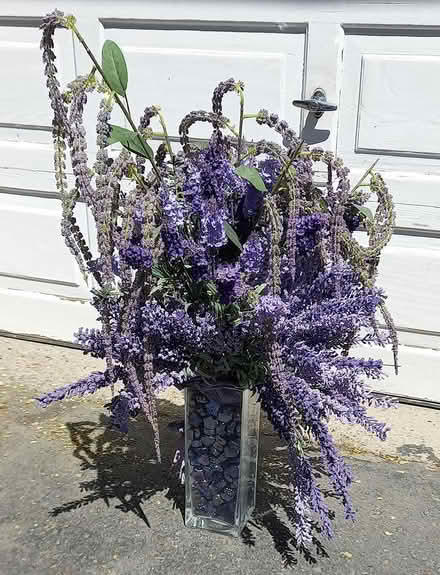 Photo of free Vase and Plant (North York: Bathurst Manor) #1